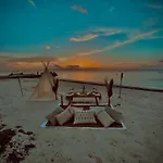 Picnic On The Beach