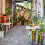 Departamento Cerca Del Ferry Y Del Centro De Holbox
