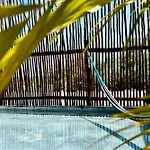 Ecoco Holbox - Eco-Chic - Cabanas De Madera - Holbox Retreat (Adults Only)