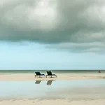 Casa Libelula Beachfront House