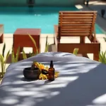 Shankara Holbox