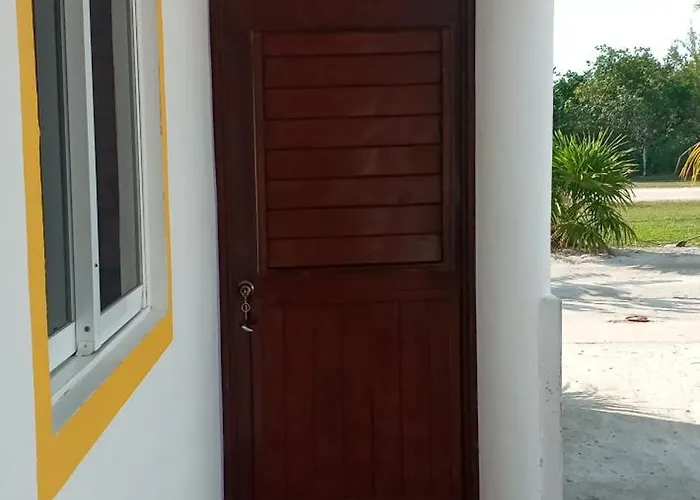 1Tiburon Tigre Squalos Place