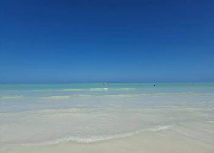 Luna Y Sol Glamping Holbox