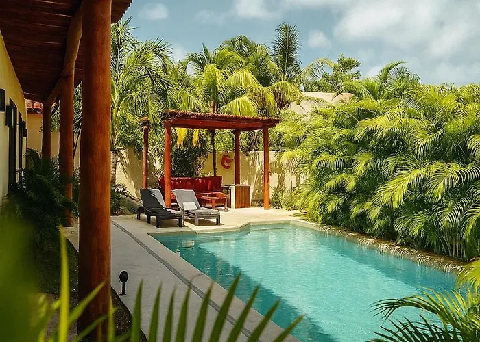Shankara Holbox