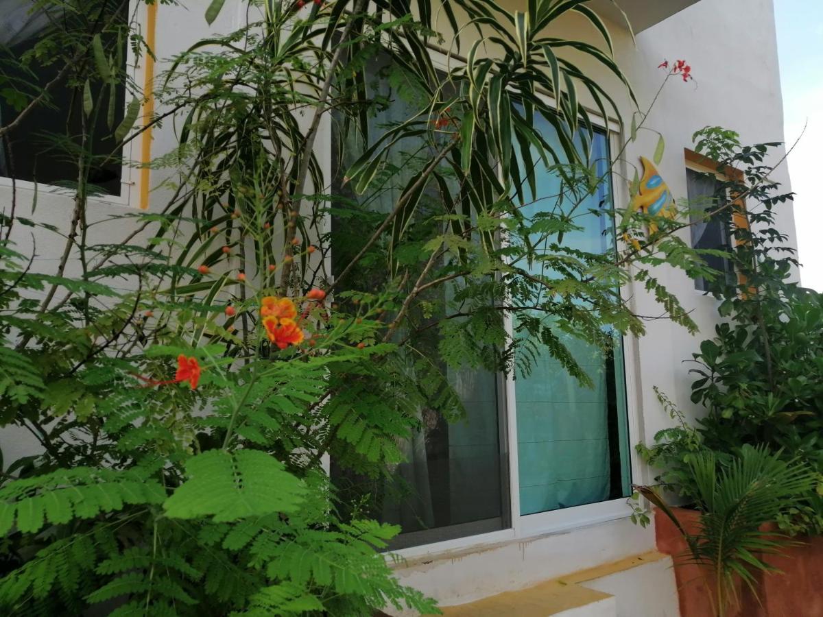 Casa Vainilla Island Aparthotel