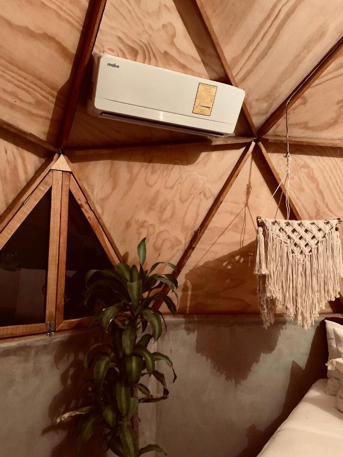 Frequency * Isla Holbox