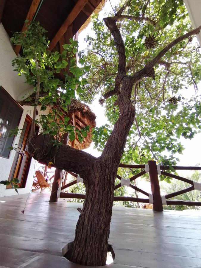 Casa Mech Pensión