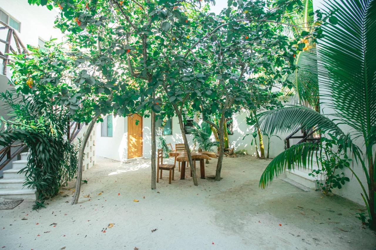 Yalekin Isla Holbox
