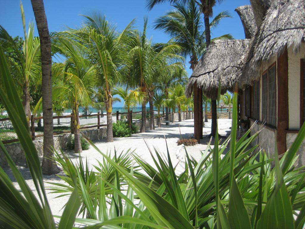 & Suites Apartahotel 3*