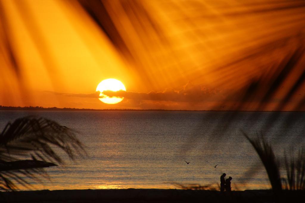 & Suites Apartahotel 3*