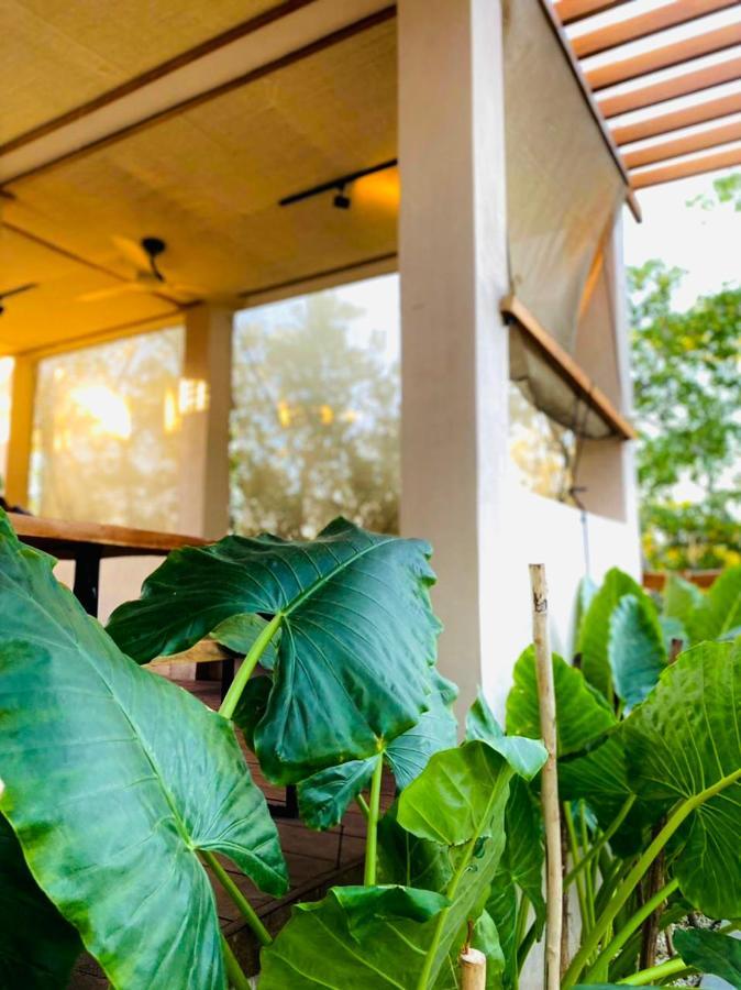 Guest house Casa Milu - Isla Holbox