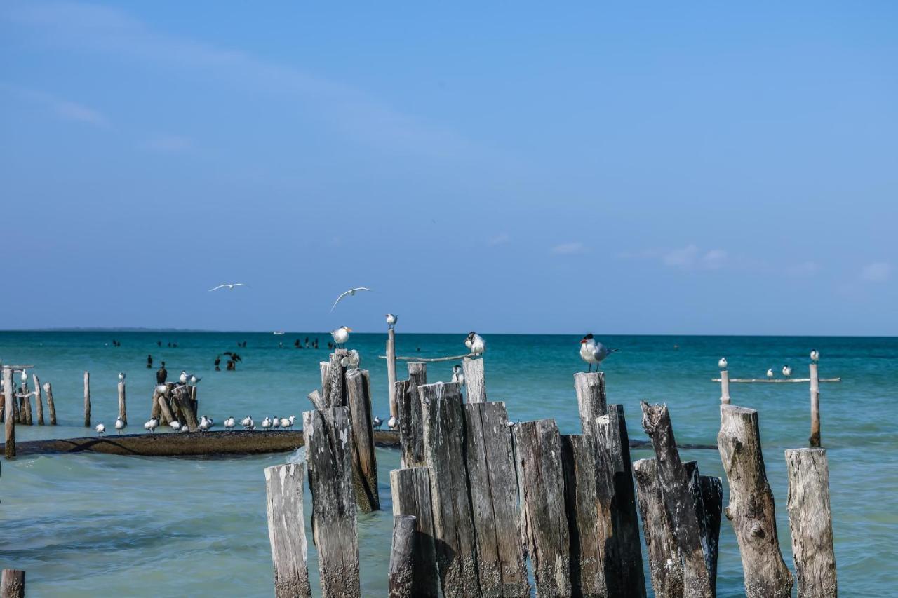 La Casa De Mia Hotel Isla Holbox