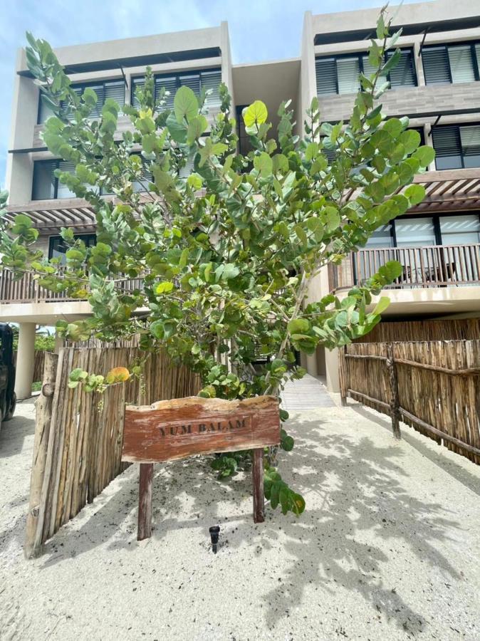 Incredible Ocean View Penthouse With Private Pool By Baleine Group * Isla Holbox