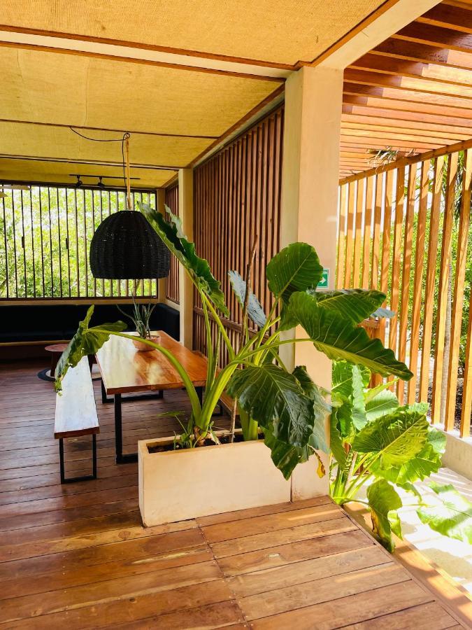 Guest house Casa Milu - Isla Holbox