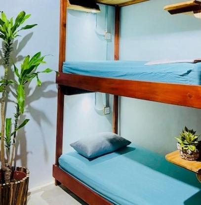 Hostel Hostal Holbox