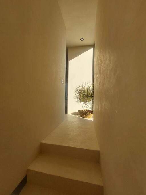 Brand New Luxury Villa. 150 Meters From The Beach. Isla Holbox