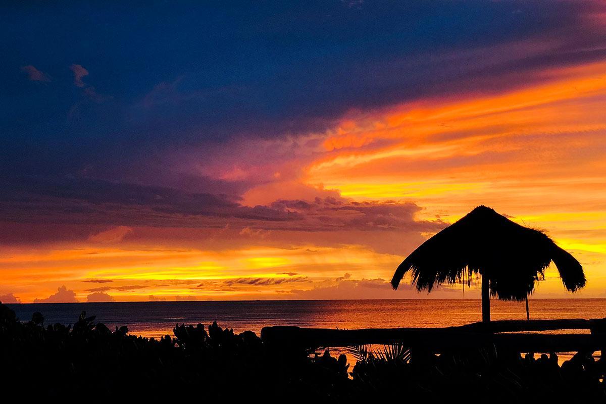 Hotel Beachfront La Palapa - Adults Only