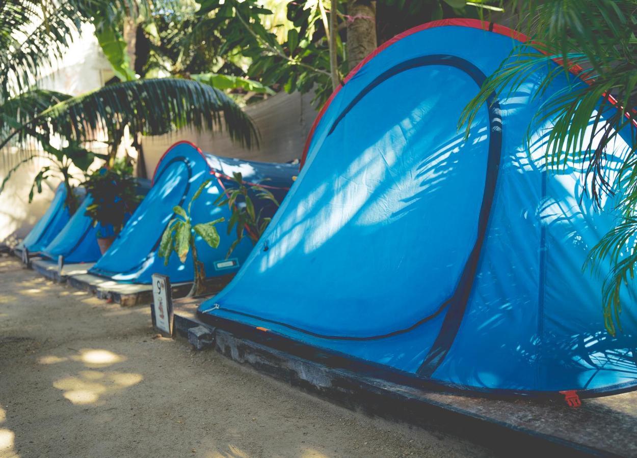 Kin Camping Campsite *