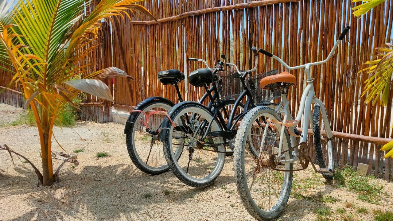 Sak Balam Isla Holbox