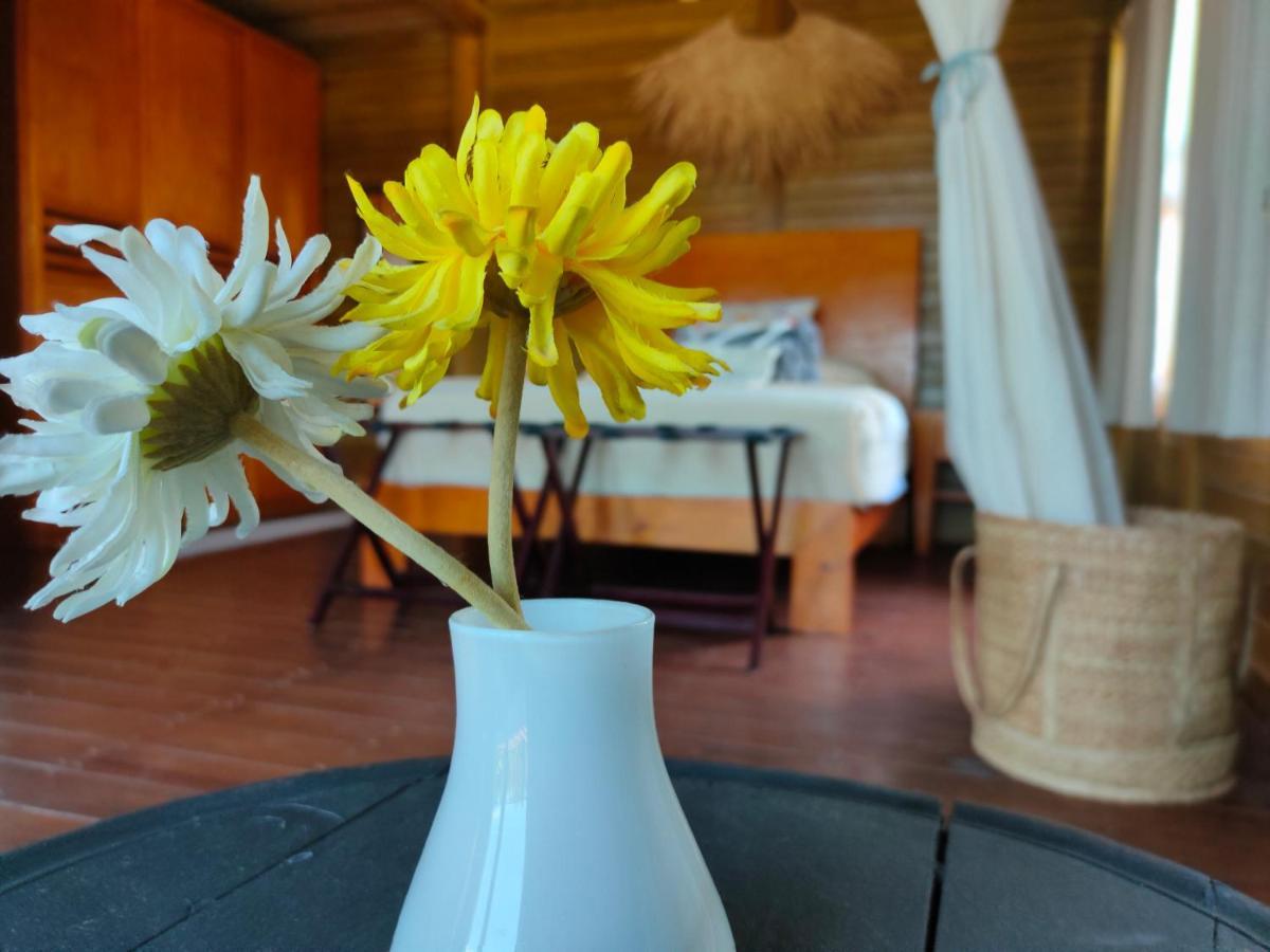Sak Balam * Isla Holbox