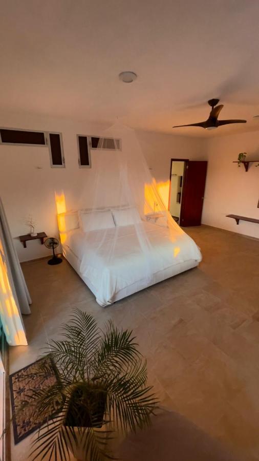 Casa Poeta Isla Holbox