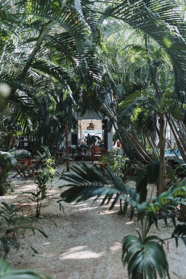 Villa Casa La Sultana Holbox: Amazing House With Pool Isla Holbox
