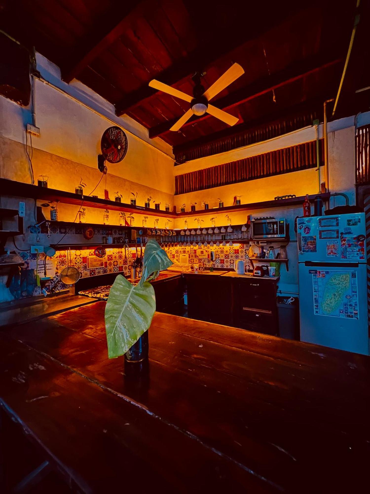 Holbox Hostal * Isla Holbox