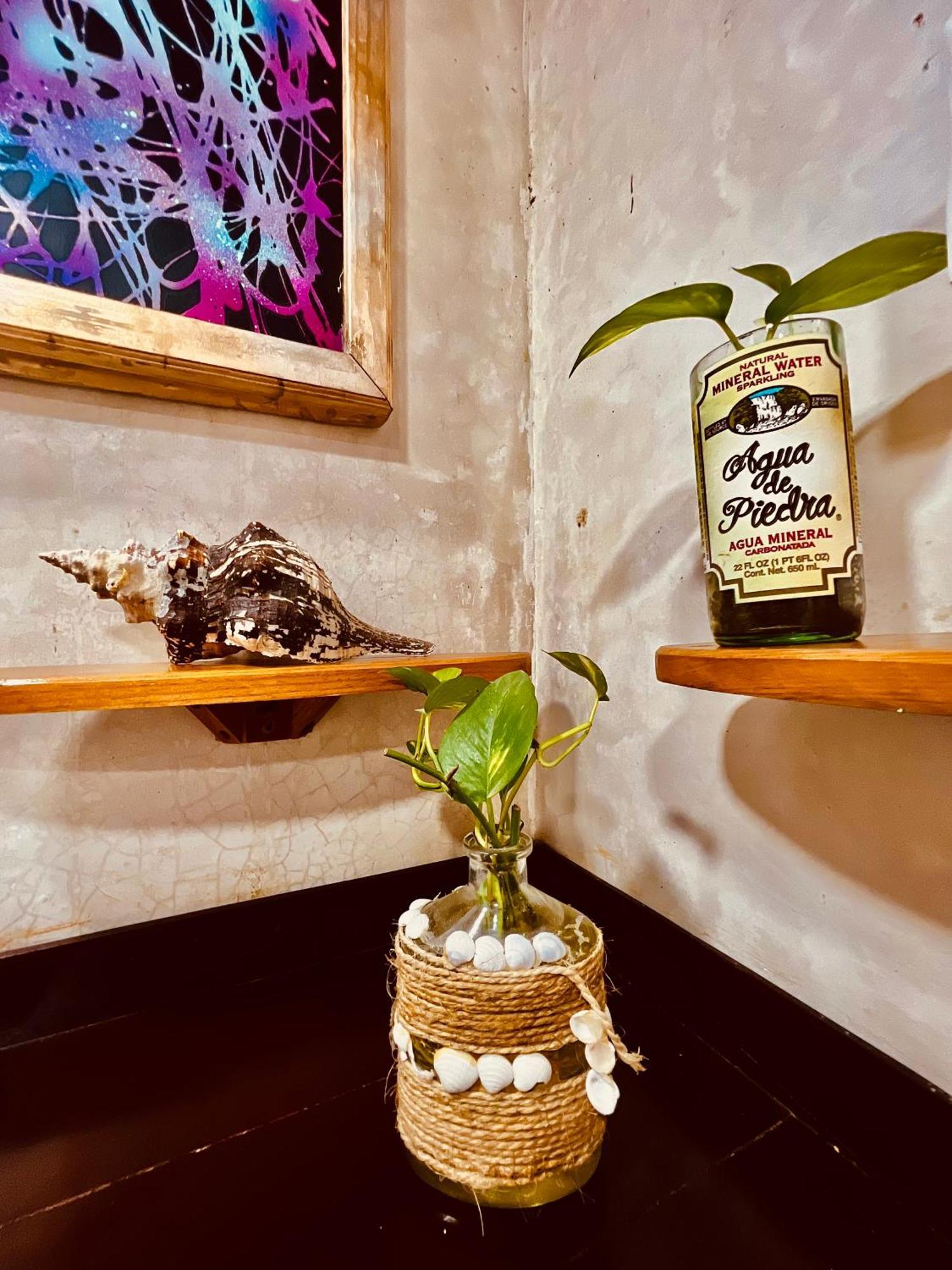 Holbox Hostal Hostel Isla Holbox