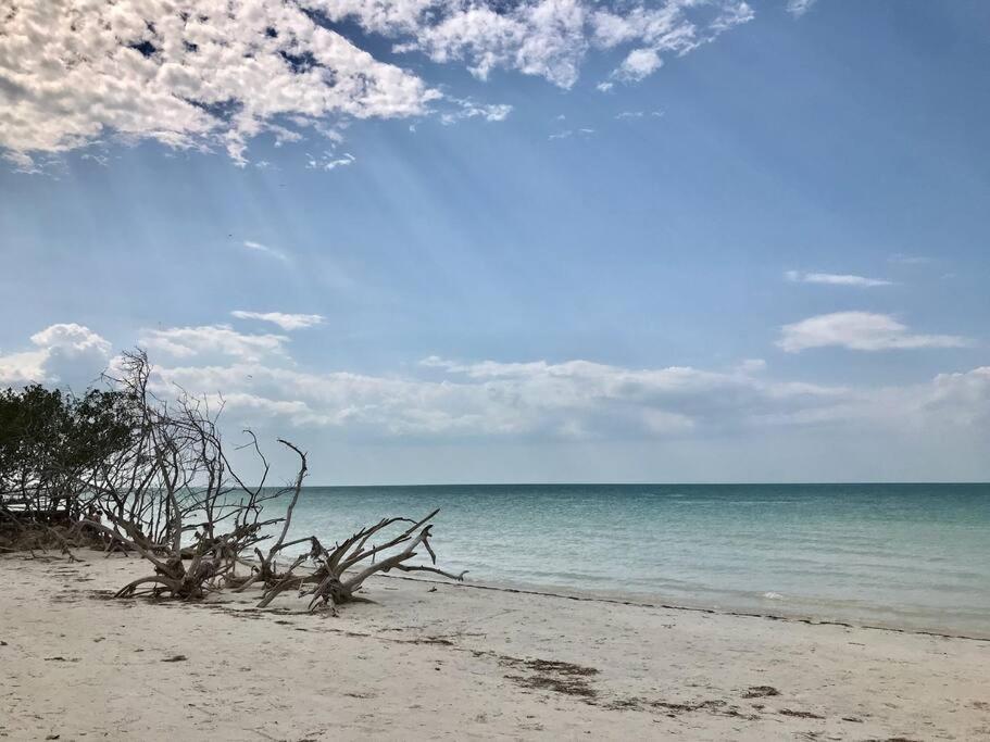 Depa Casacalma. Zona Tranquila Y Techo De Palapa * Isla Holbox
