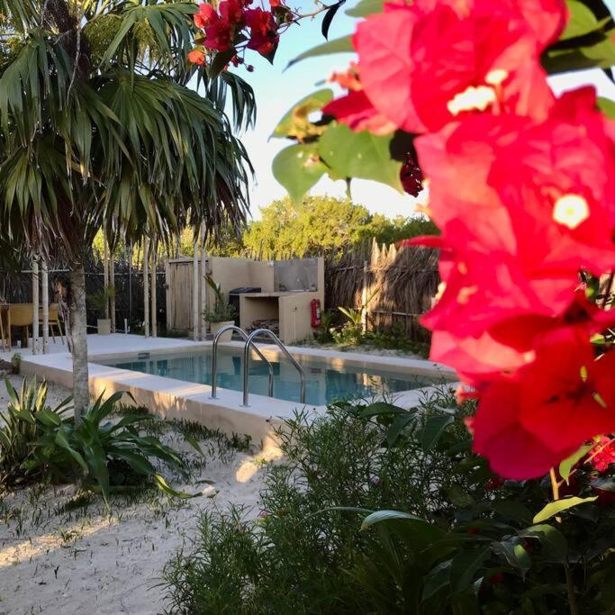 Apartment Depa Casacalma. Zona Tranquila Y Techo De Palapa Isla Holbox