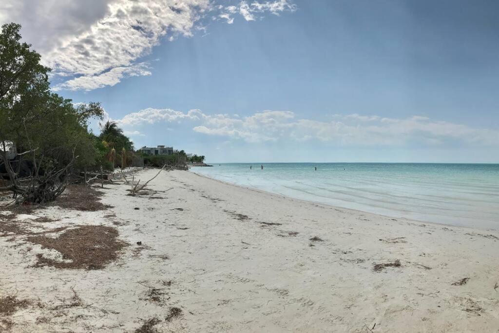 Depa Casacalma. Zona Tranquila Y Techo De Palapa * Isla Holbox
