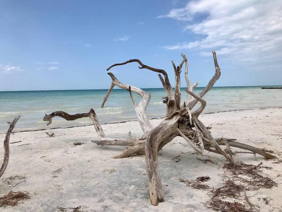 Depa Casacalma. Zona Tranquila Y Techo De Palapa Isla Holbox