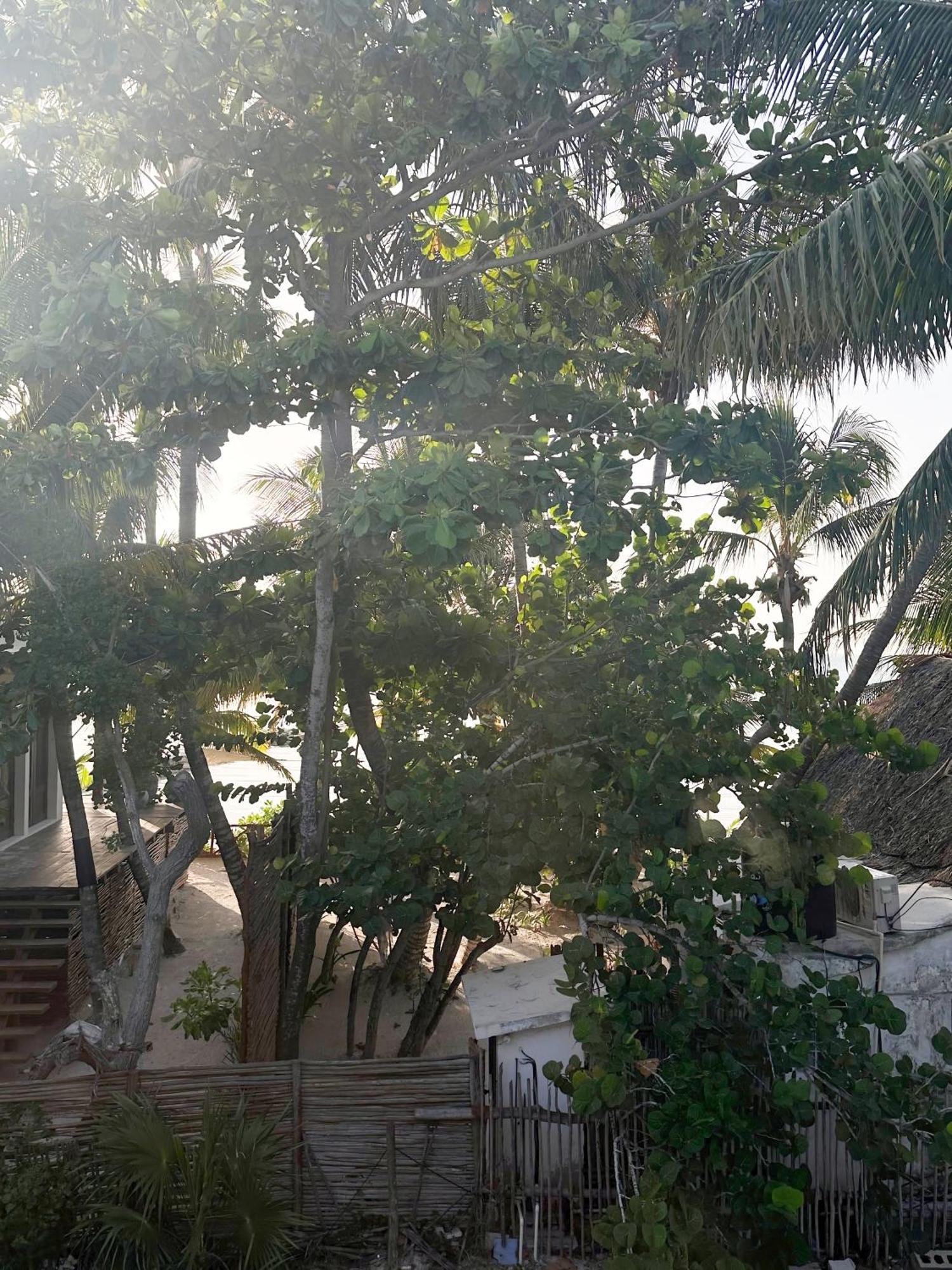 Сasa de vacaciones Casa Bacelis