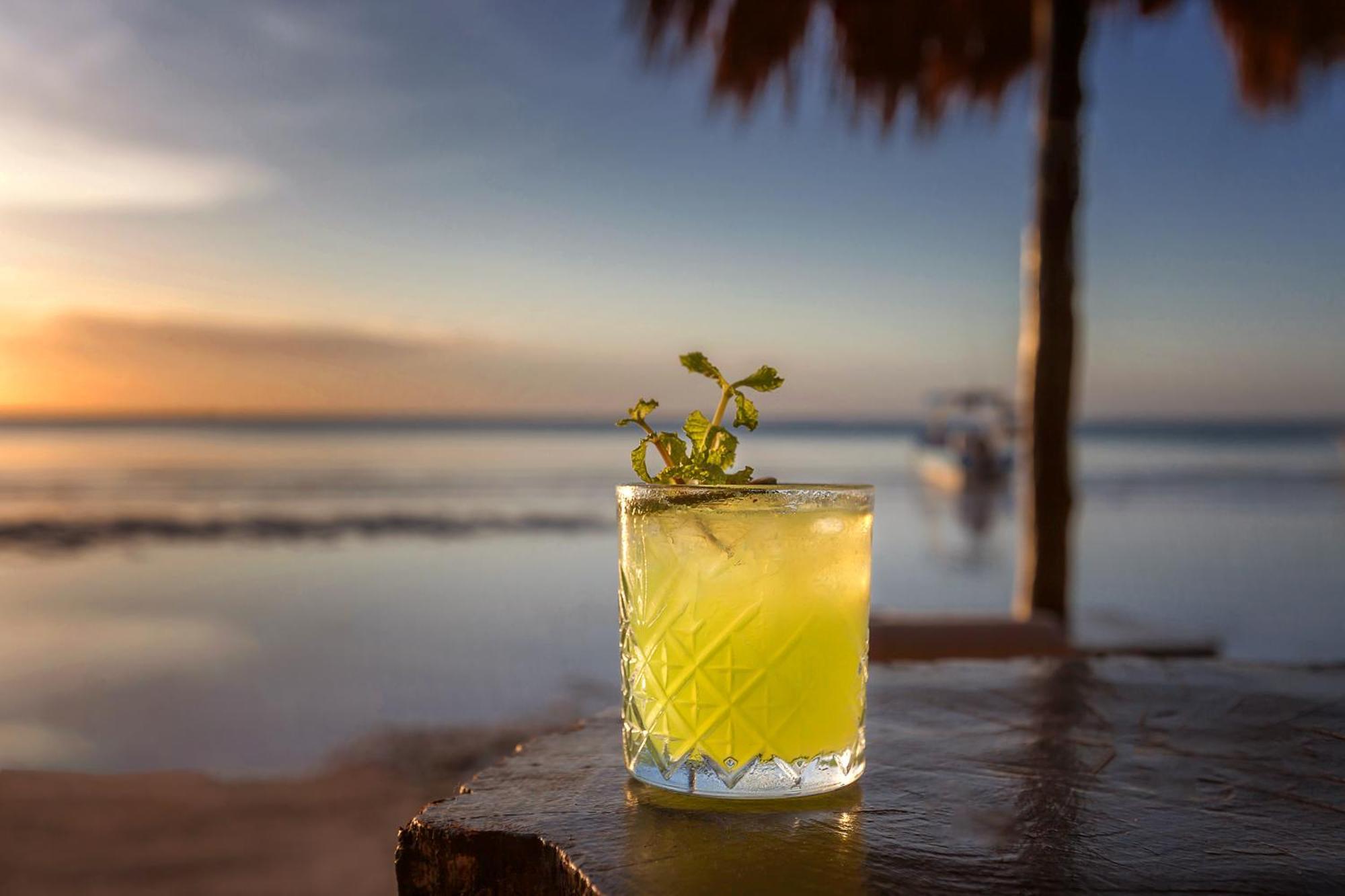 Hotel Beachfront La Palapa - Adults Only