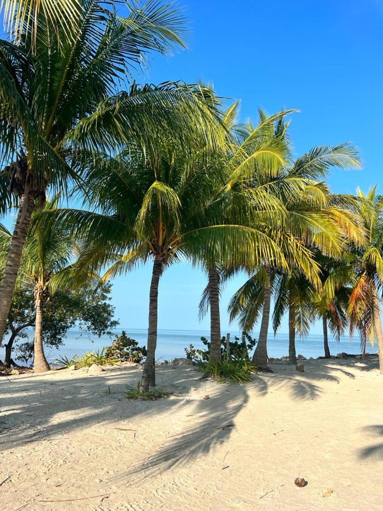 Casa Calamar Сasa de vacaciones Isla Holbox