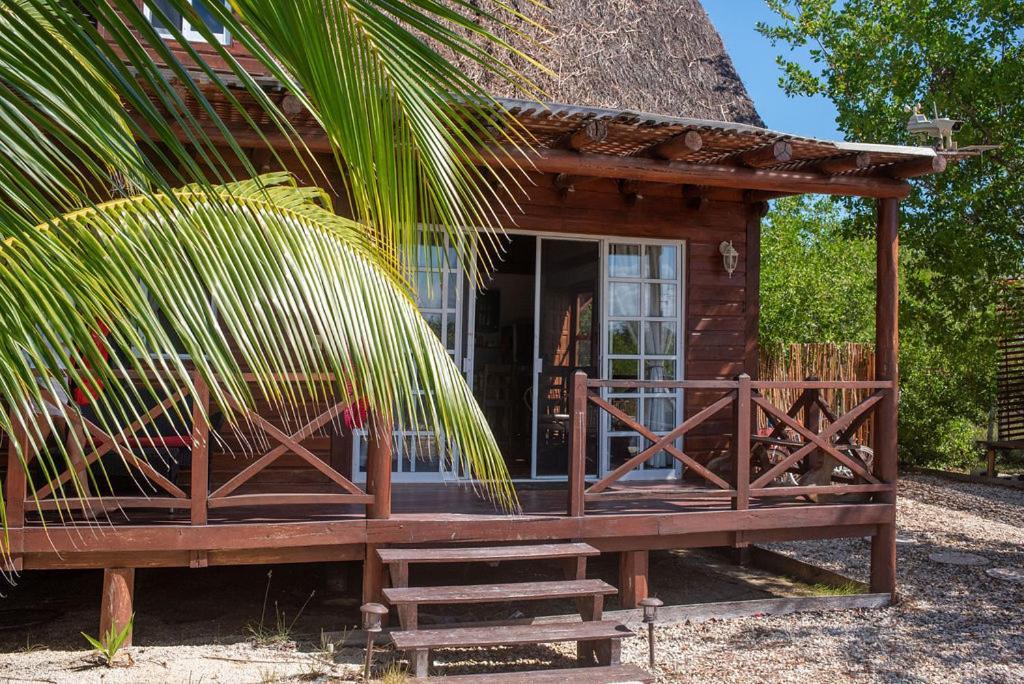 Casa Calamar *