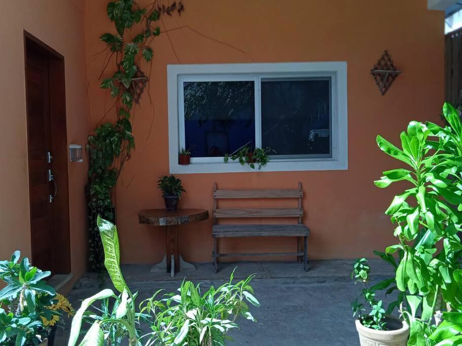 La Casa Naranja En *