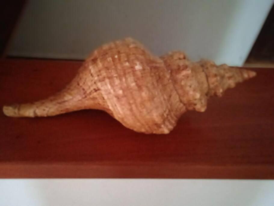 La Casa Naranja En *