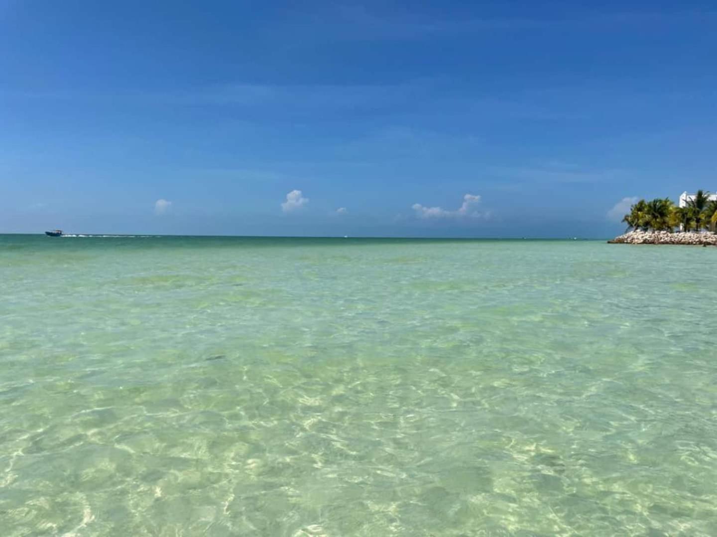 Pool View Loft Steps From The Ocean In Punta Cocos - C101 Isla Holbox