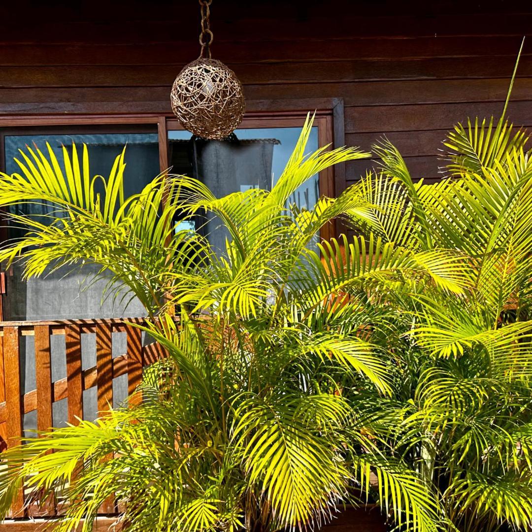 Ecoco - Ecochic - De Madera - Retreat * Isla Holbox