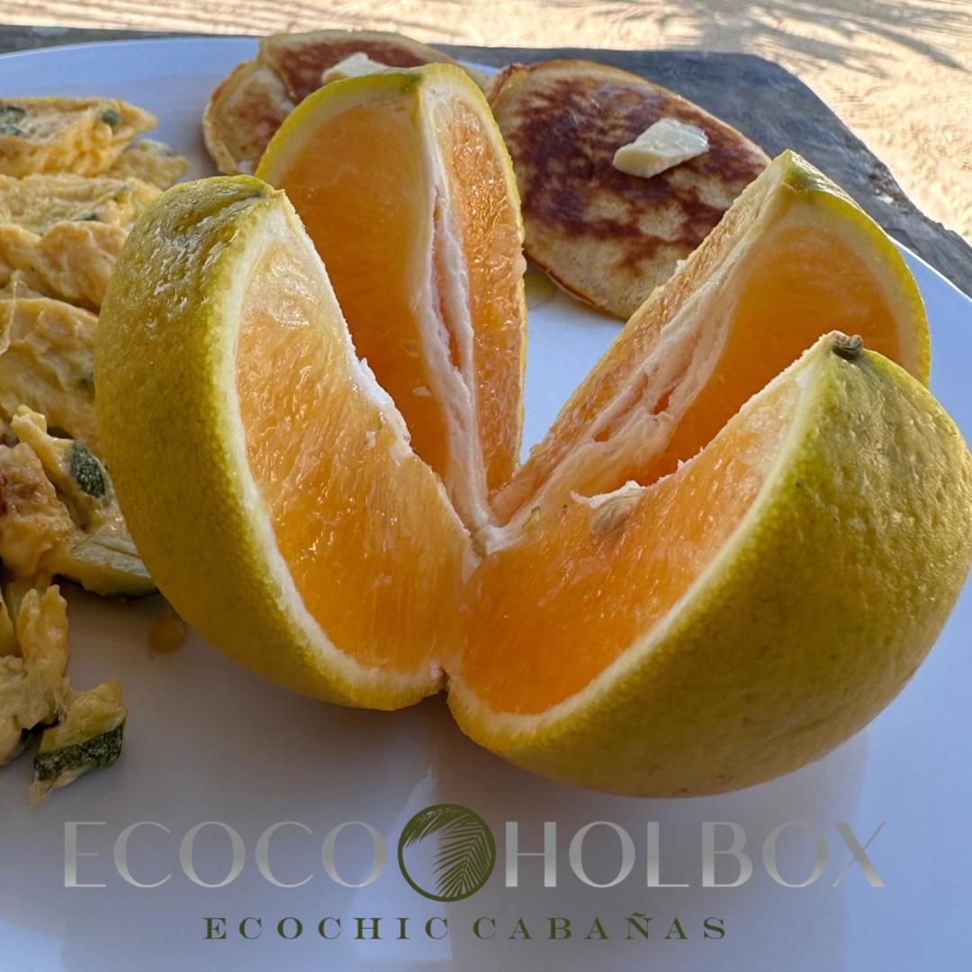 Ecoco - Ecochic - De Madera - Retreat * Isla Holbox