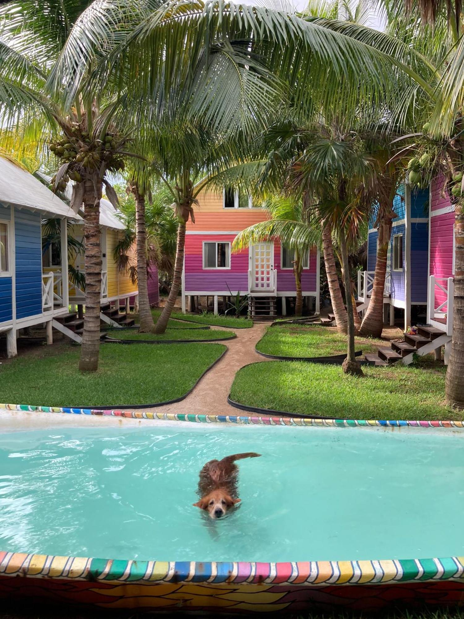 Whyknot * Isla Holbox