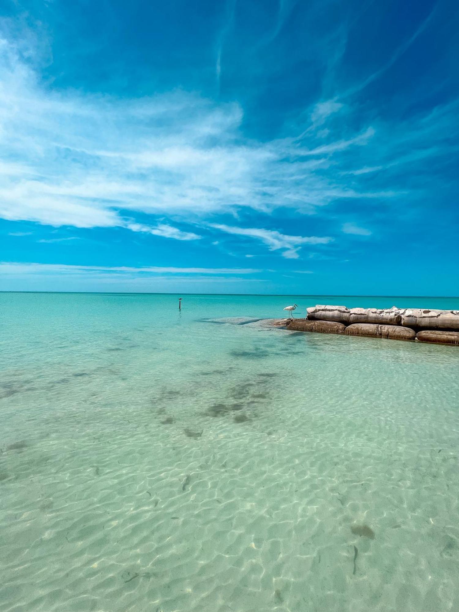 Frühstückspension Whyknot Isla Holbox