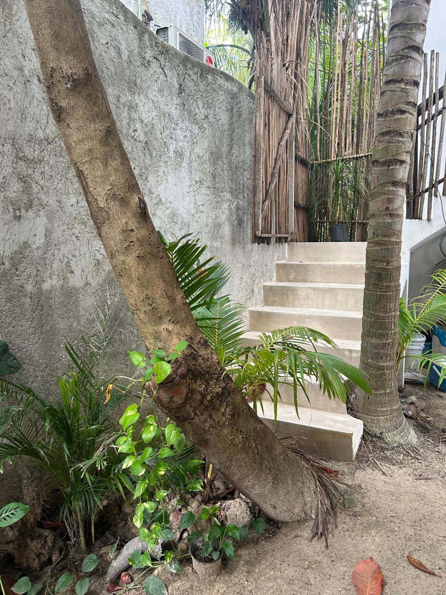 Coco Apartment Isla Holbox