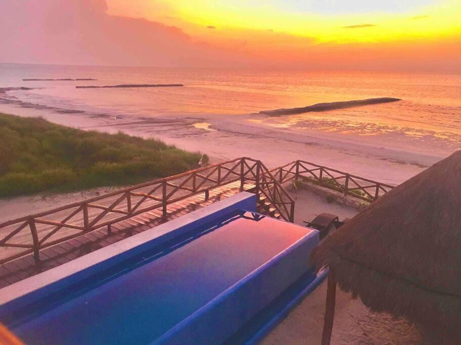 Casa Libelula Beachfront House Villa