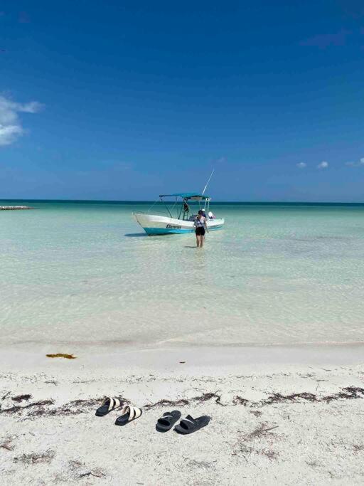 Casa Libelula Beachfront House Villa