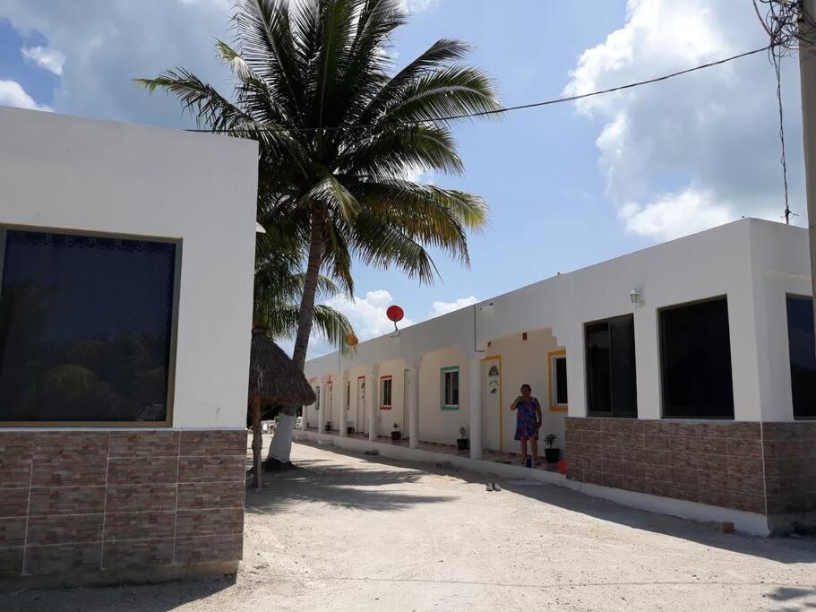 4 Tiburon Toro Squalo's Place * Isla Holbox