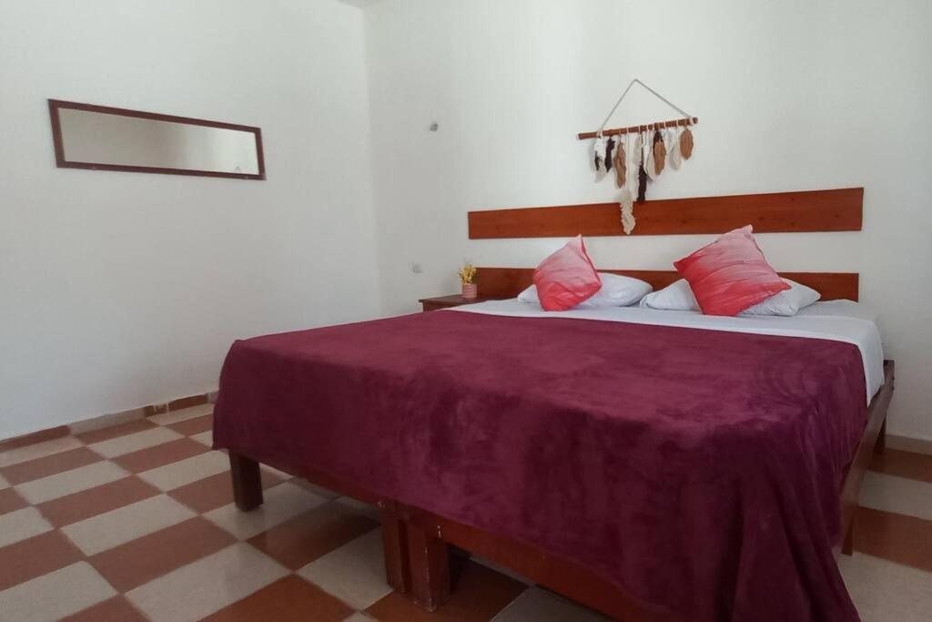 4 Tiburon Toro Squalo's Place * Isla Holbox