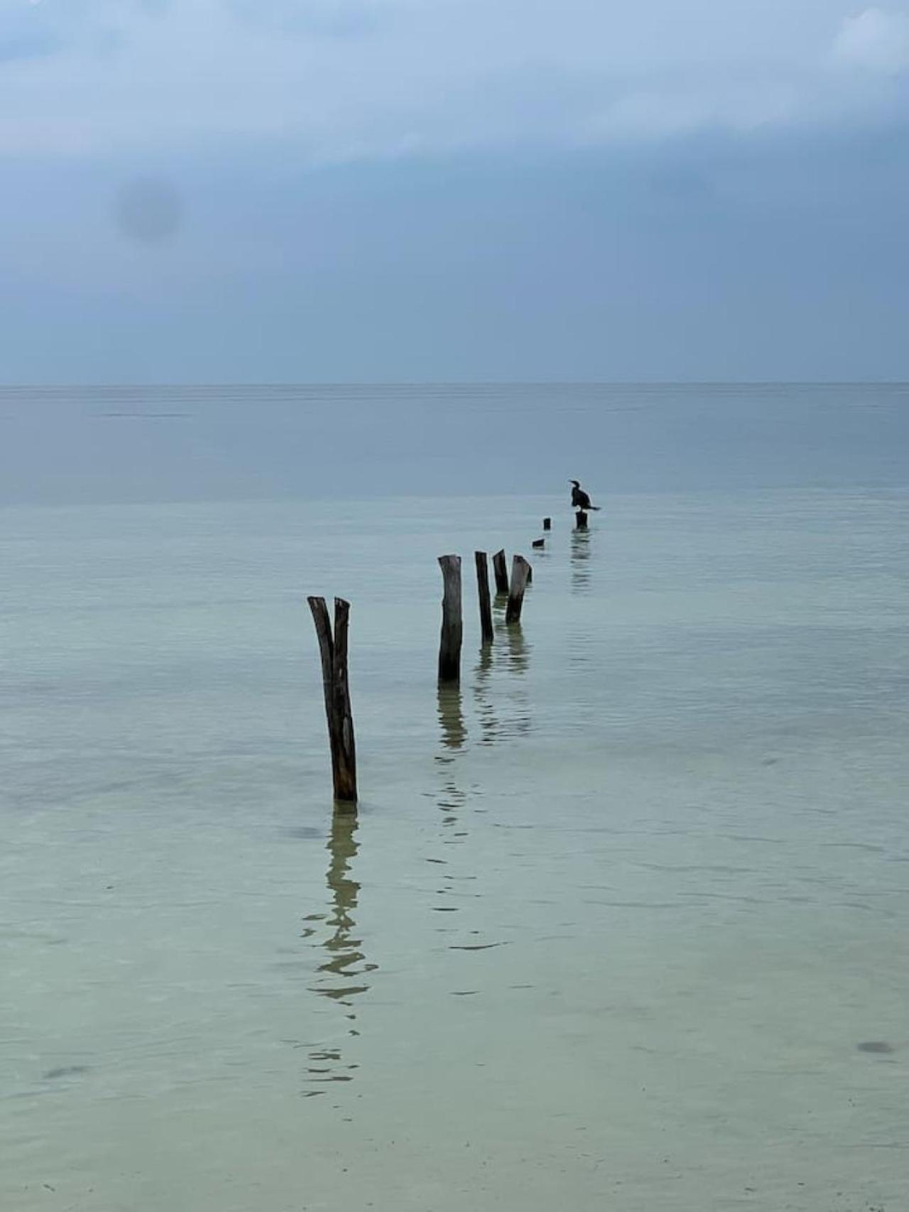 Holiday home 16 Guest Island Escape Isla Holbox