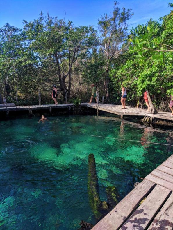 Yum Balam En * Isla Holbox